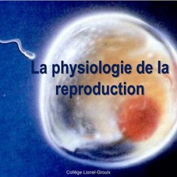 Physiologie de la reproduction