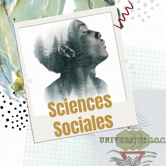 sciences sociales